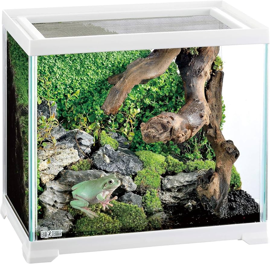 エキゾテラ飼育ゲージ 1〜6個希望数売昆虫、爬虫類、両生類20×20×31
