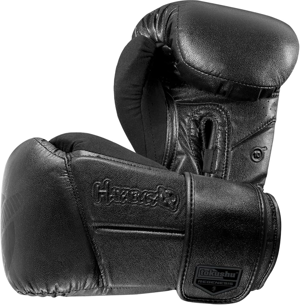 HAYABUSA ボクシンググローブ 10oz TOKUSHU HAYABUSA ボクシング