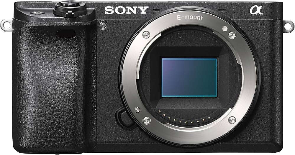 最終価格SONY α6300 ミラーレスカメラ 単焦点レンズ×3 バッテリー×2