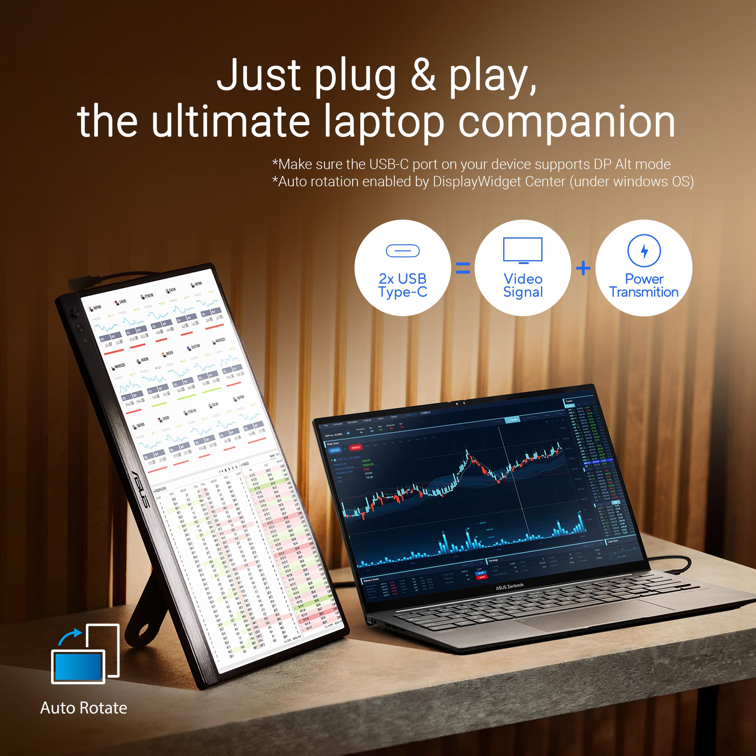 Amazon.com: ASUS ZenScreen 16” Portable USB Monitor (MB169CK