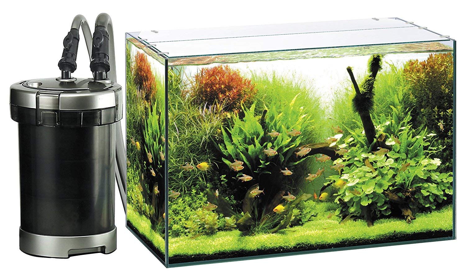 Amazon | GEX AQUARIUM グラステリア600 6点セット メガパワー付属