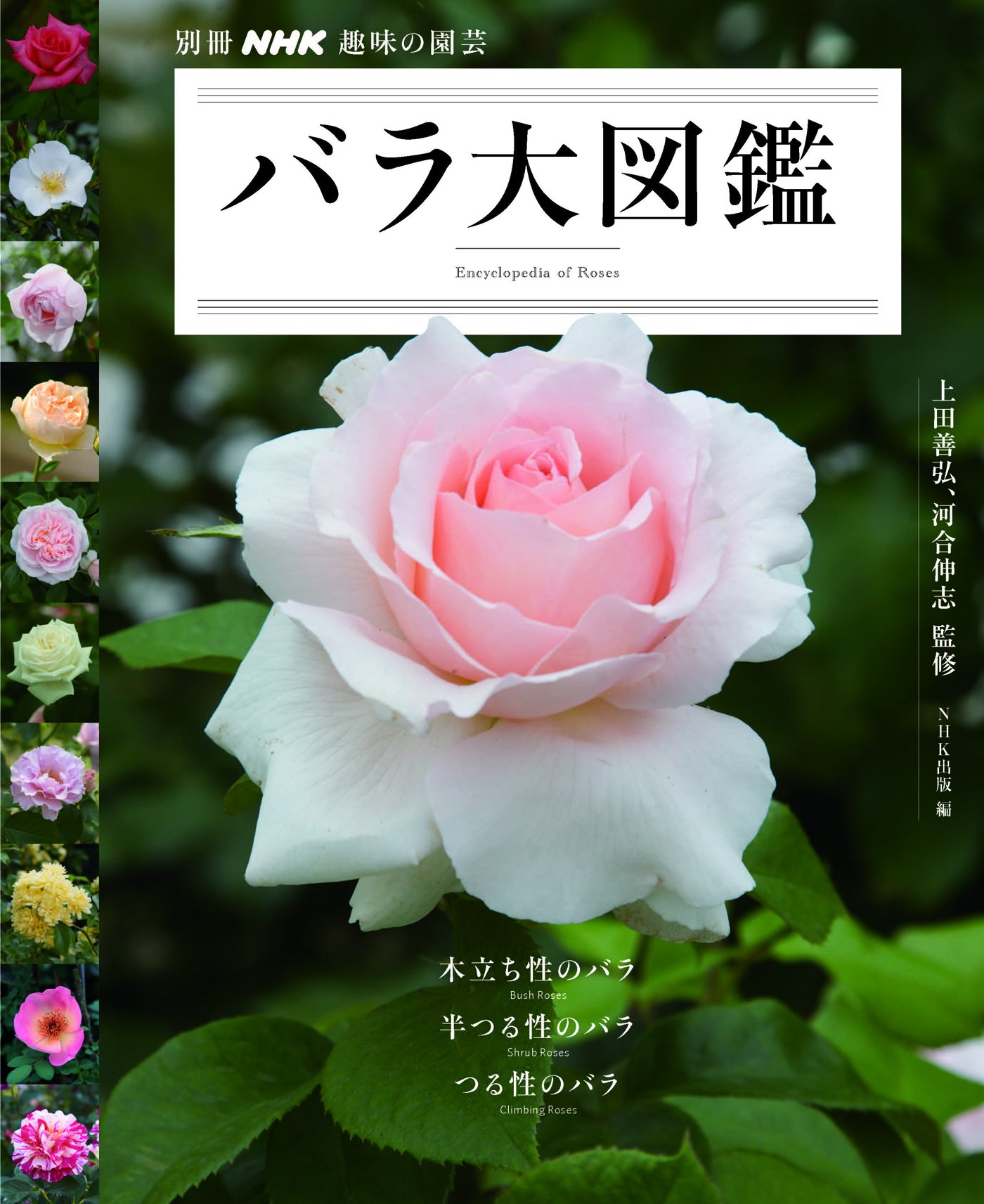 鴨居玲 花 バラ 薔薇 鑑定書なし 鴨居玲 花 バラ 薔薇 鑑定書なし 鴨居