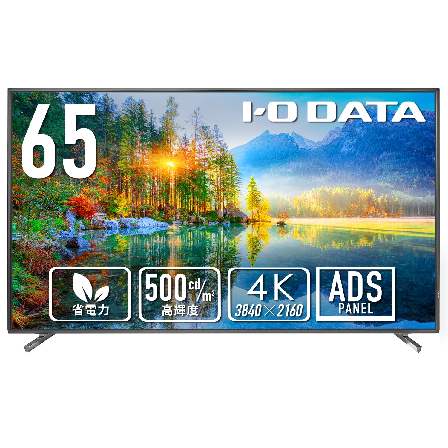 即日受渡❣️IO DATA4K HDR対応大型65型液晶ディスプレイ49500円