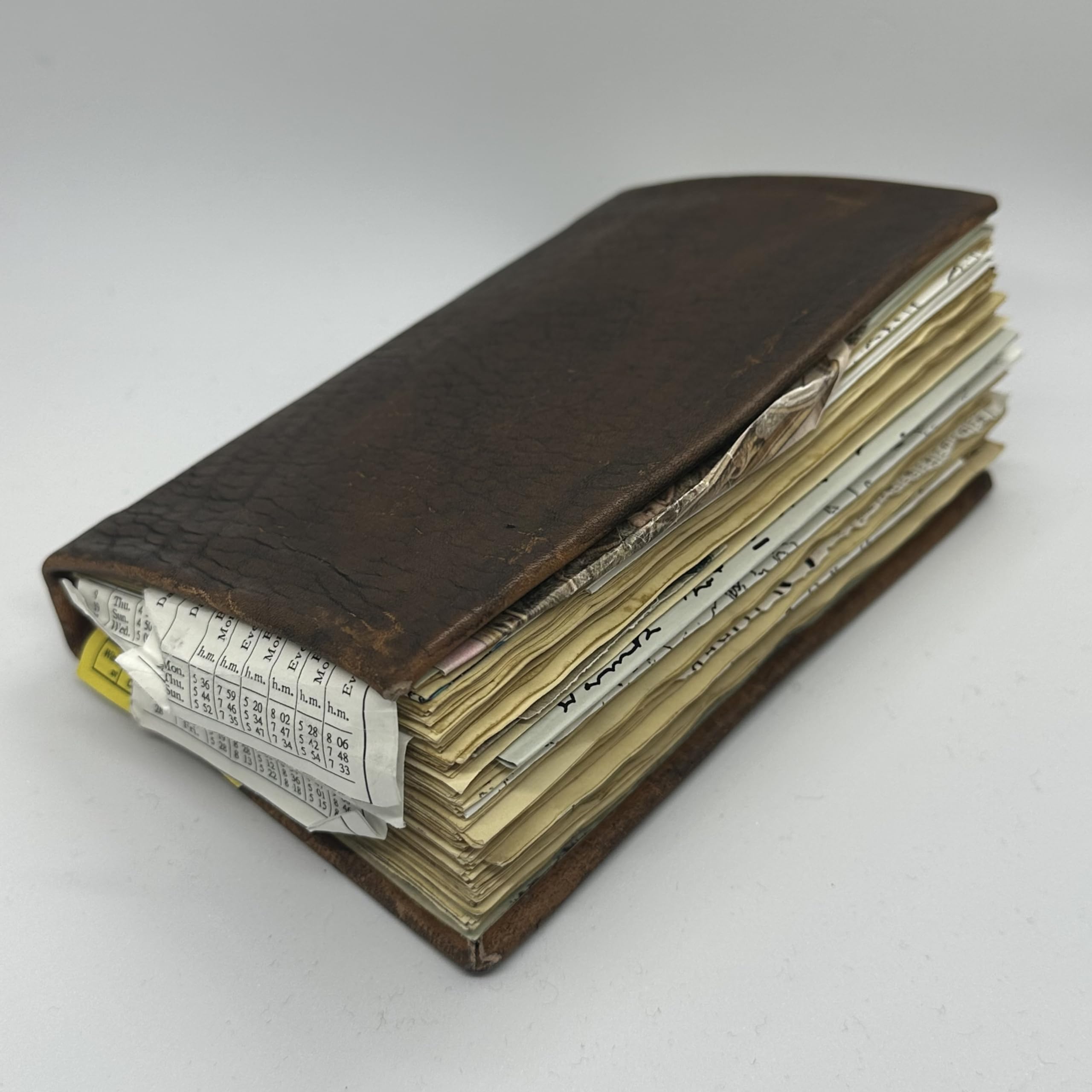 Amazon.co.jp: 聖杯手帳 インディージョーンズ ストーリープロップ