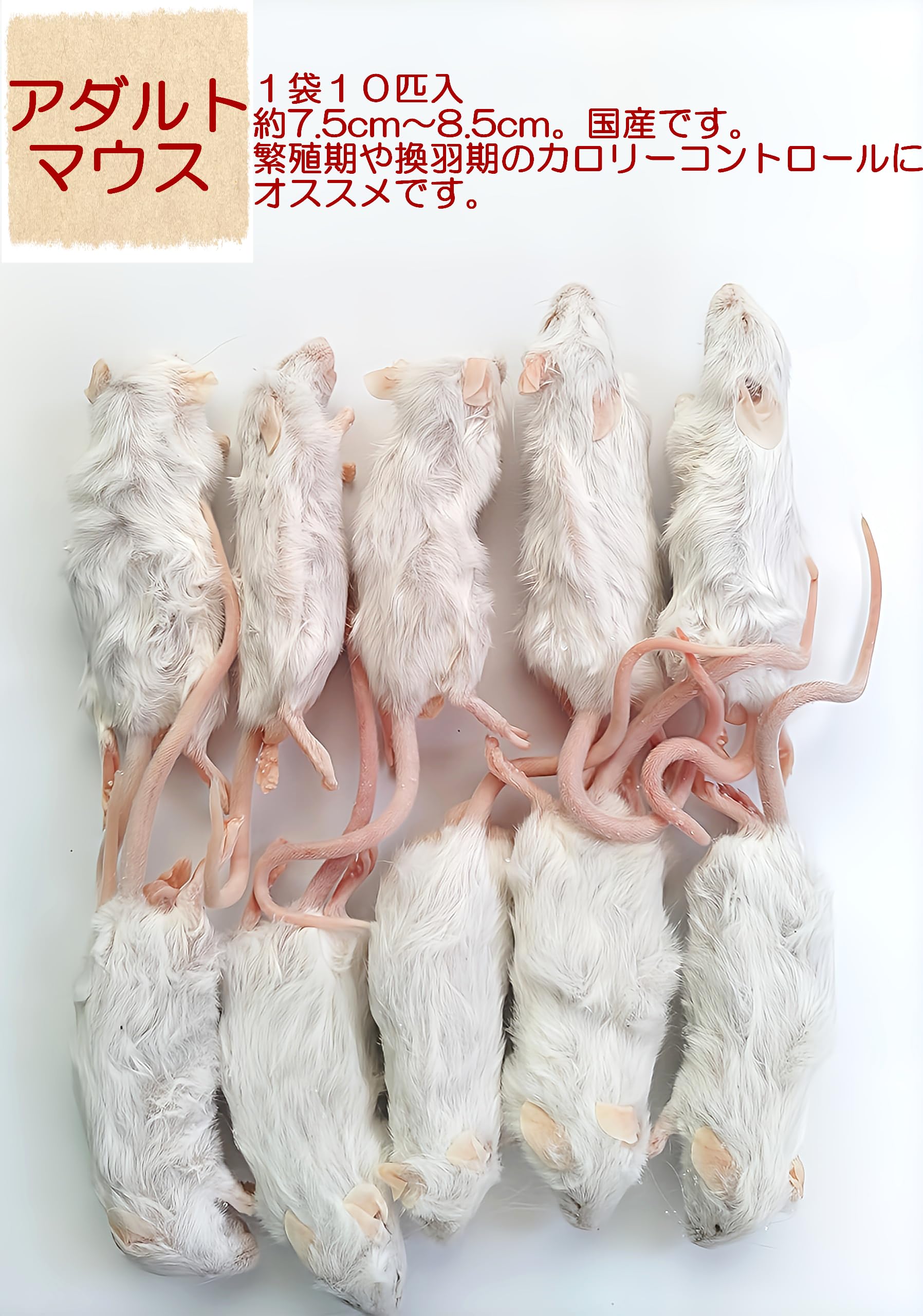 Amazon | 国産 冷凍マウス アダルト10匹 | しあわせをよぶふくろうの城