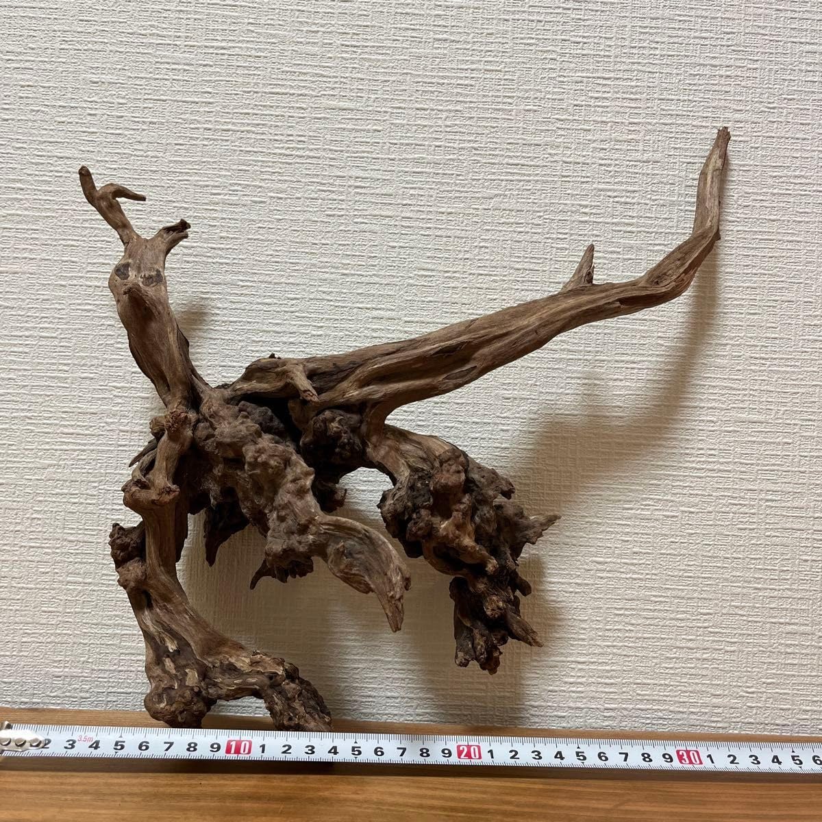 ADA ホーンウッド 7本まとめ売り