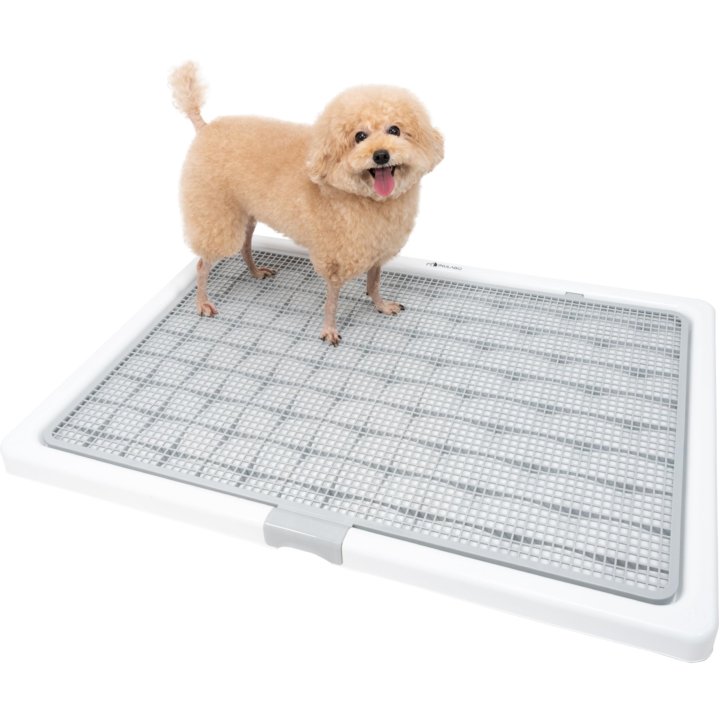 INULABO(イヌラボ) 犬 高床式トイレ グレー 大型犬用 犬 用 トイレ