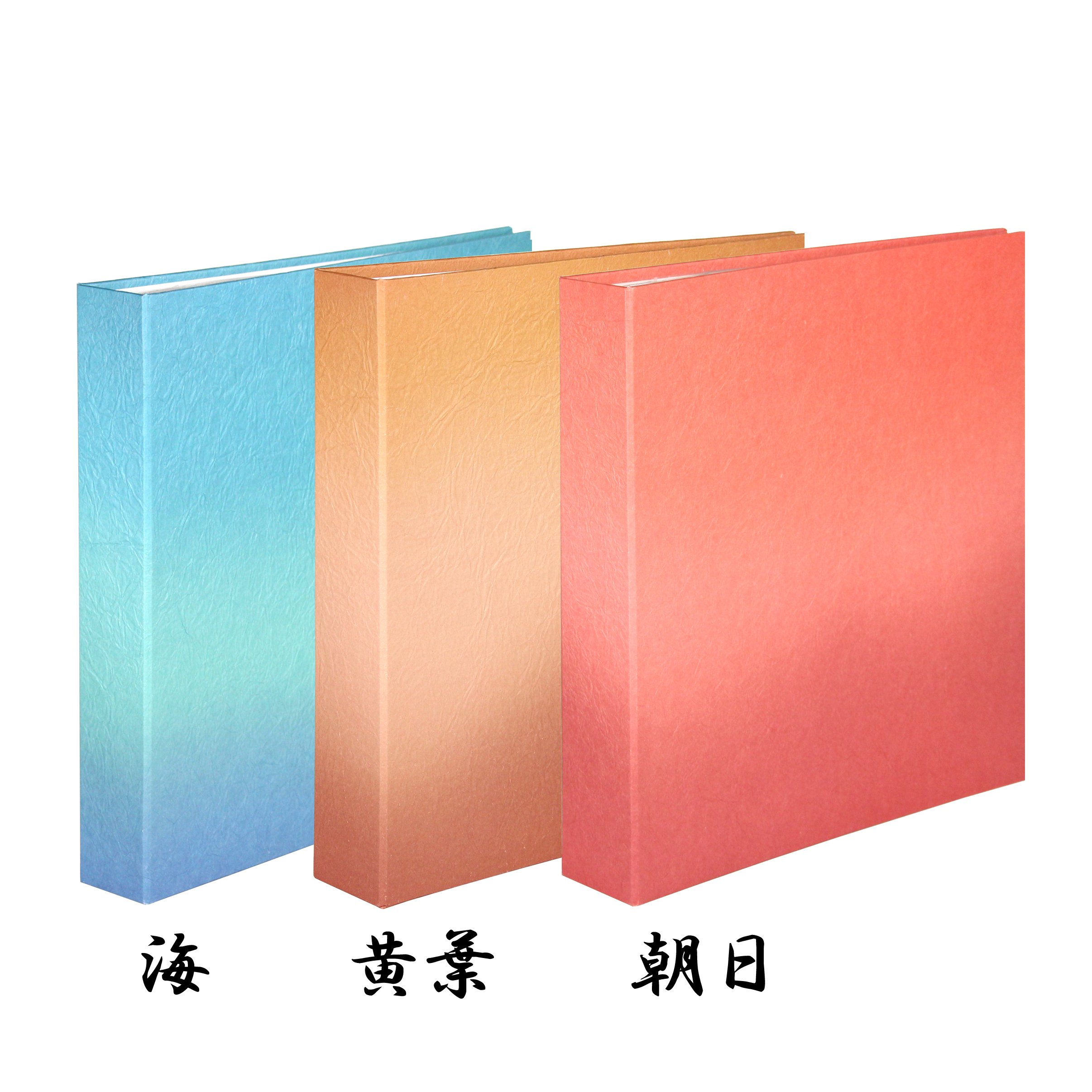 大色紙ファイル 自然のささやき 朝日 海 3冊 大色紙ファイル 自然の