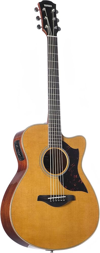 Amazon | ヤマハ YAMAHA エレアコギター AC1M VN | エレアコギター