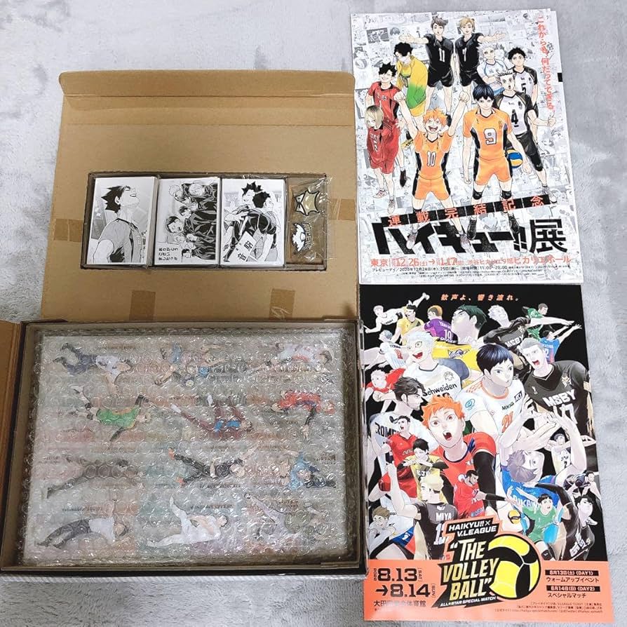 ハイキュー 10th クロニクル グッズのみ