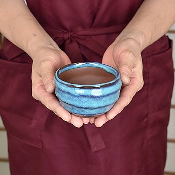 Amazon.co.jp: 盆栽妙 植木鉢 陶器鉢 盆栽鉢 山野草鉢 3号 トルコ