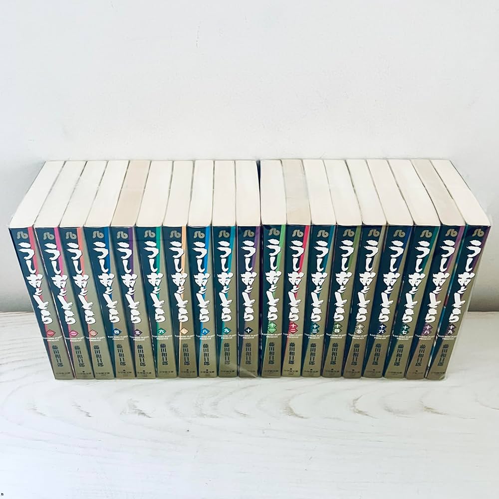 うしおととら 完全版 1〜19巻セット Amazon.co.jp: うしおととら 文庫