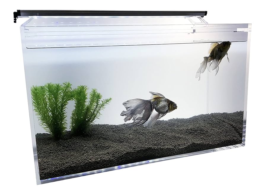 専用品 水槽 60cm W60×D45×H45 厚み8mm 【公式通販】