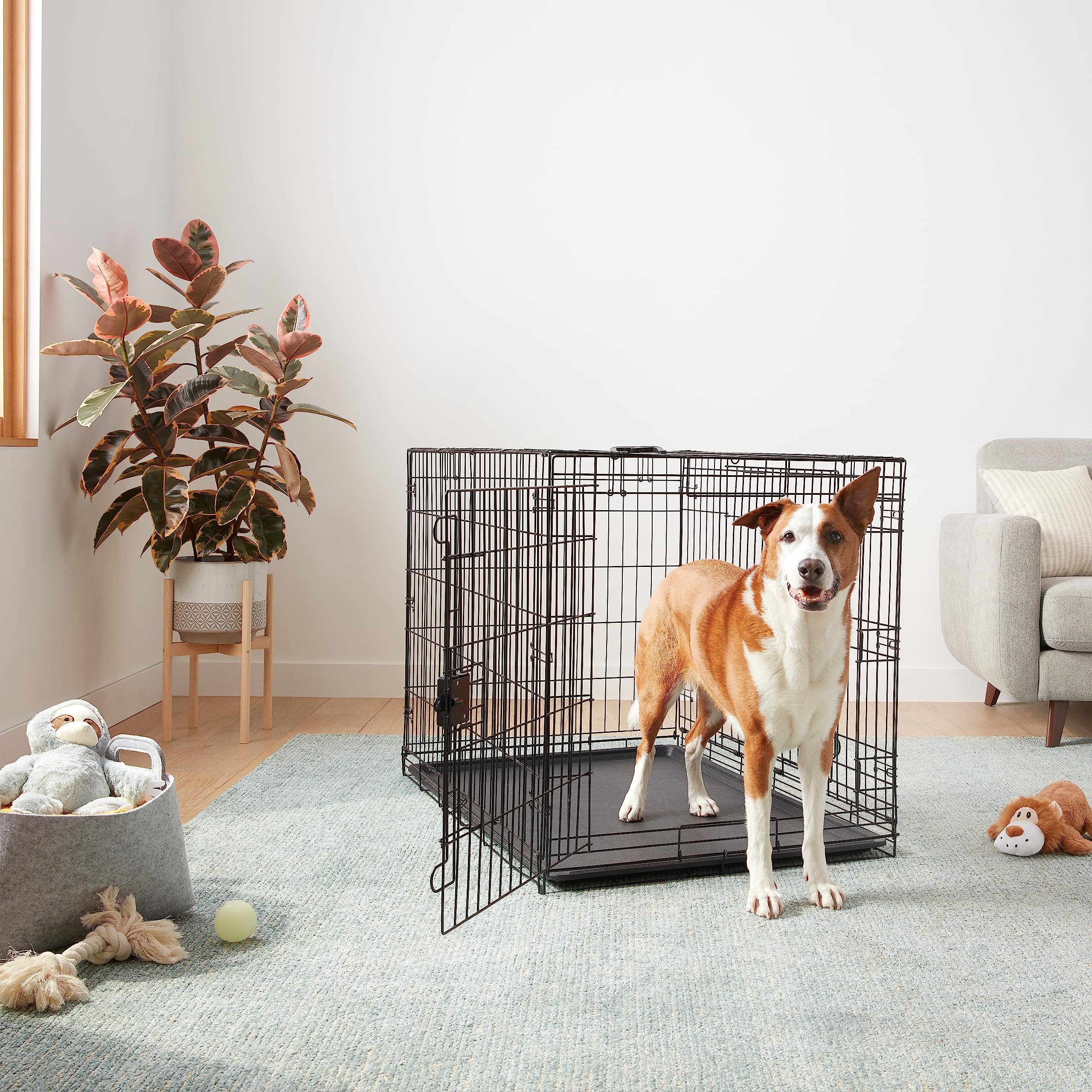 Amazon.co.jp: Amazonベーシック 犬 ペットケージ 大型犬 折り畳み式