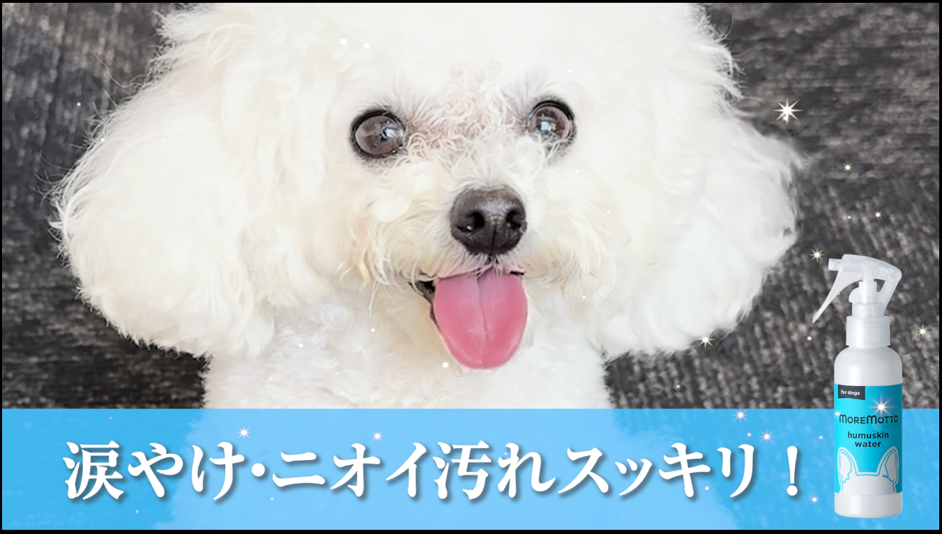 Amazon | MOREMOTTO【 動物病院 監修 】獣医師 フムスキンウォーター