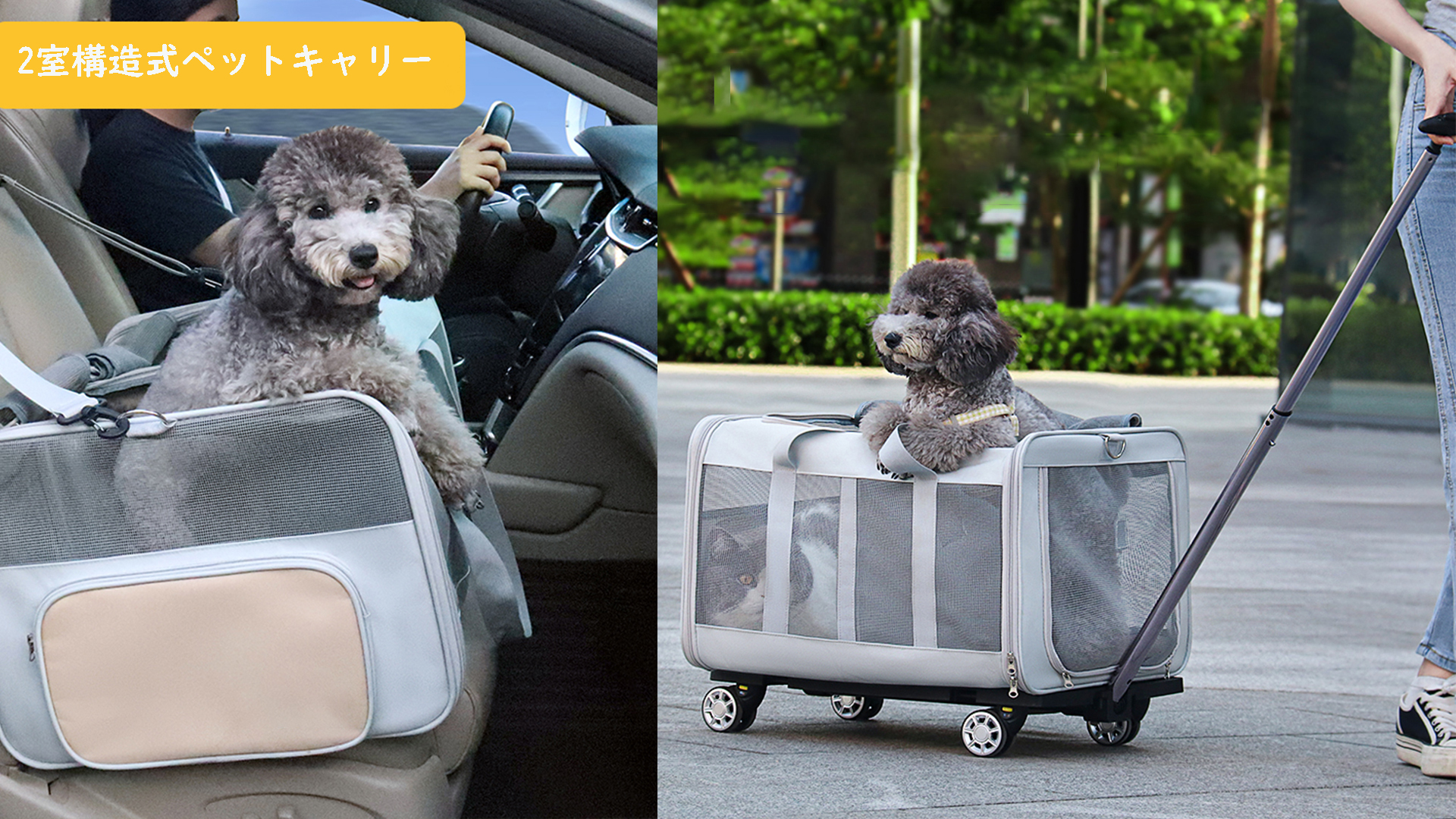 Amazon.co.jp: CHINSUKIDA 猫 2匹用 キャリー キャスター付き 2室