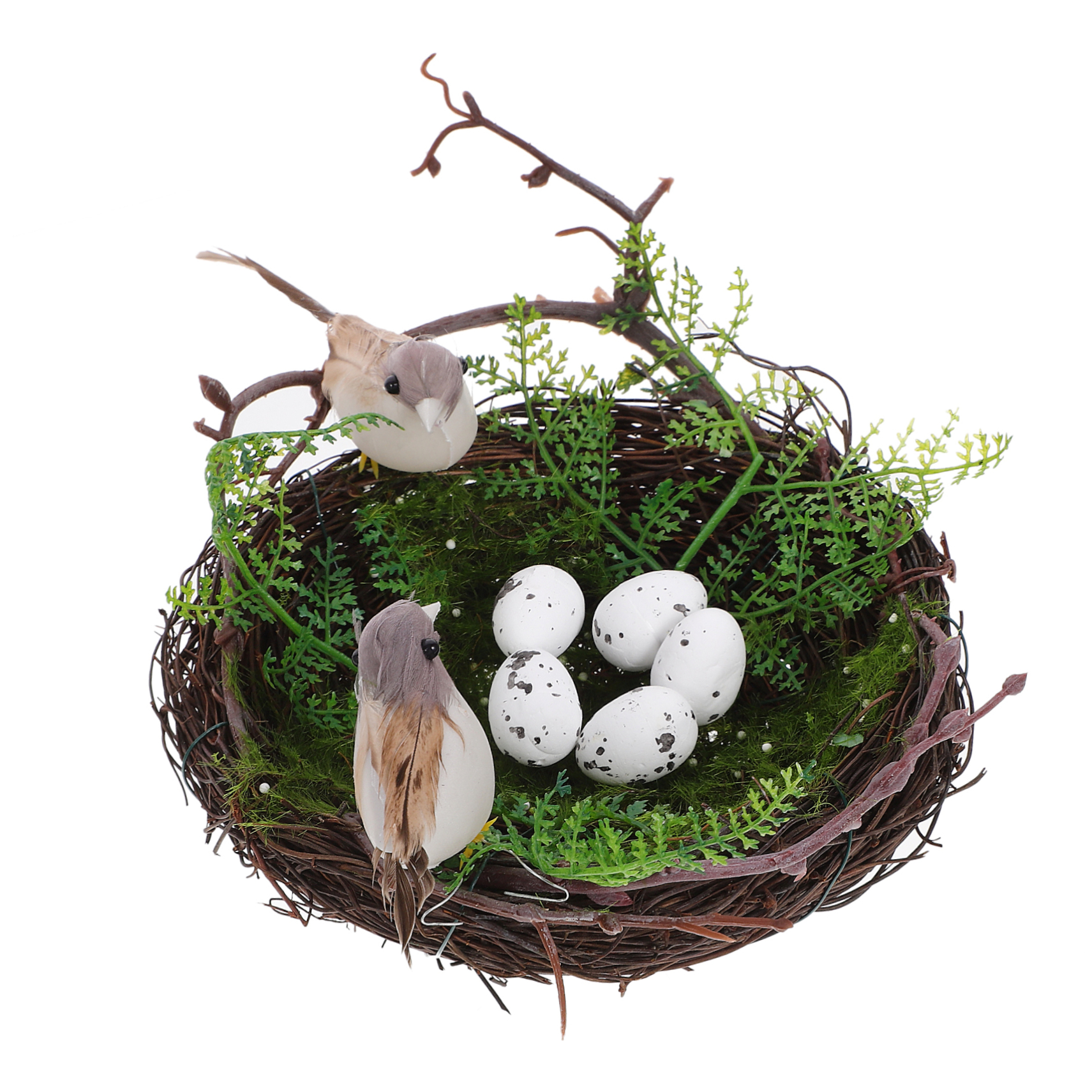 天然野生＊野鳥＊とっても可愛い枝付き【鳥の巣】巣＊小鳥の巣