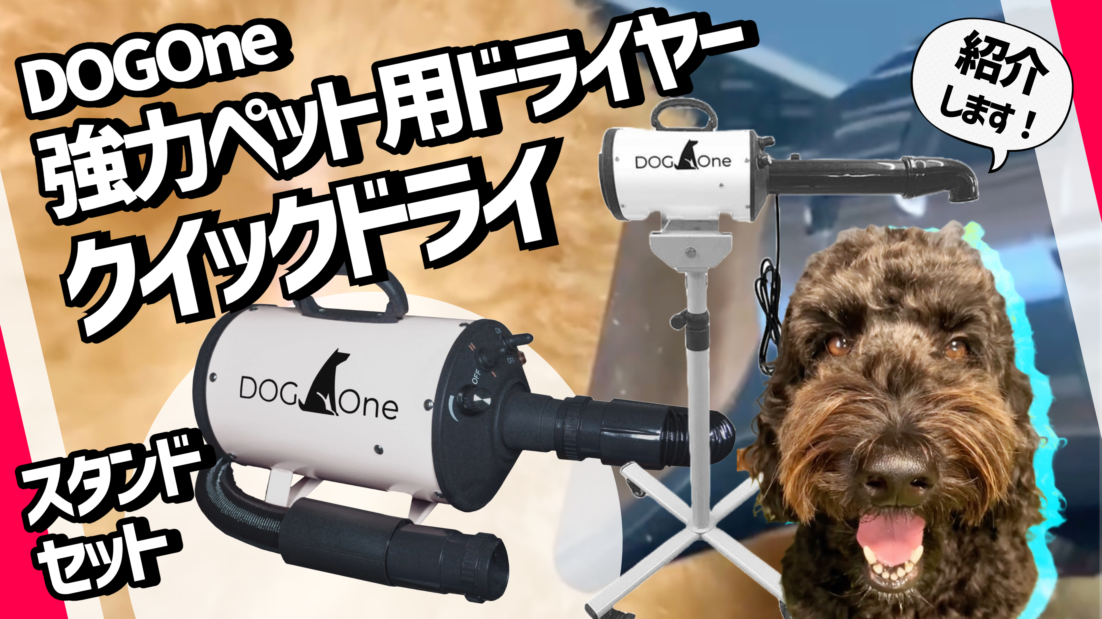 Amazon.co.jp: DOG One ペットドライヤー スタンドセット 業務用 犬