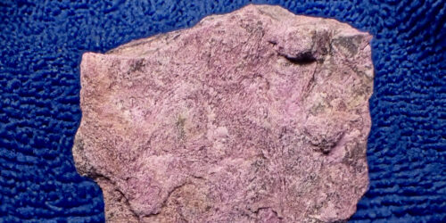 沼野石 Numanoite(TL) 岡山県高梁市布賀鉱山 Fuka Mine, Takahashi