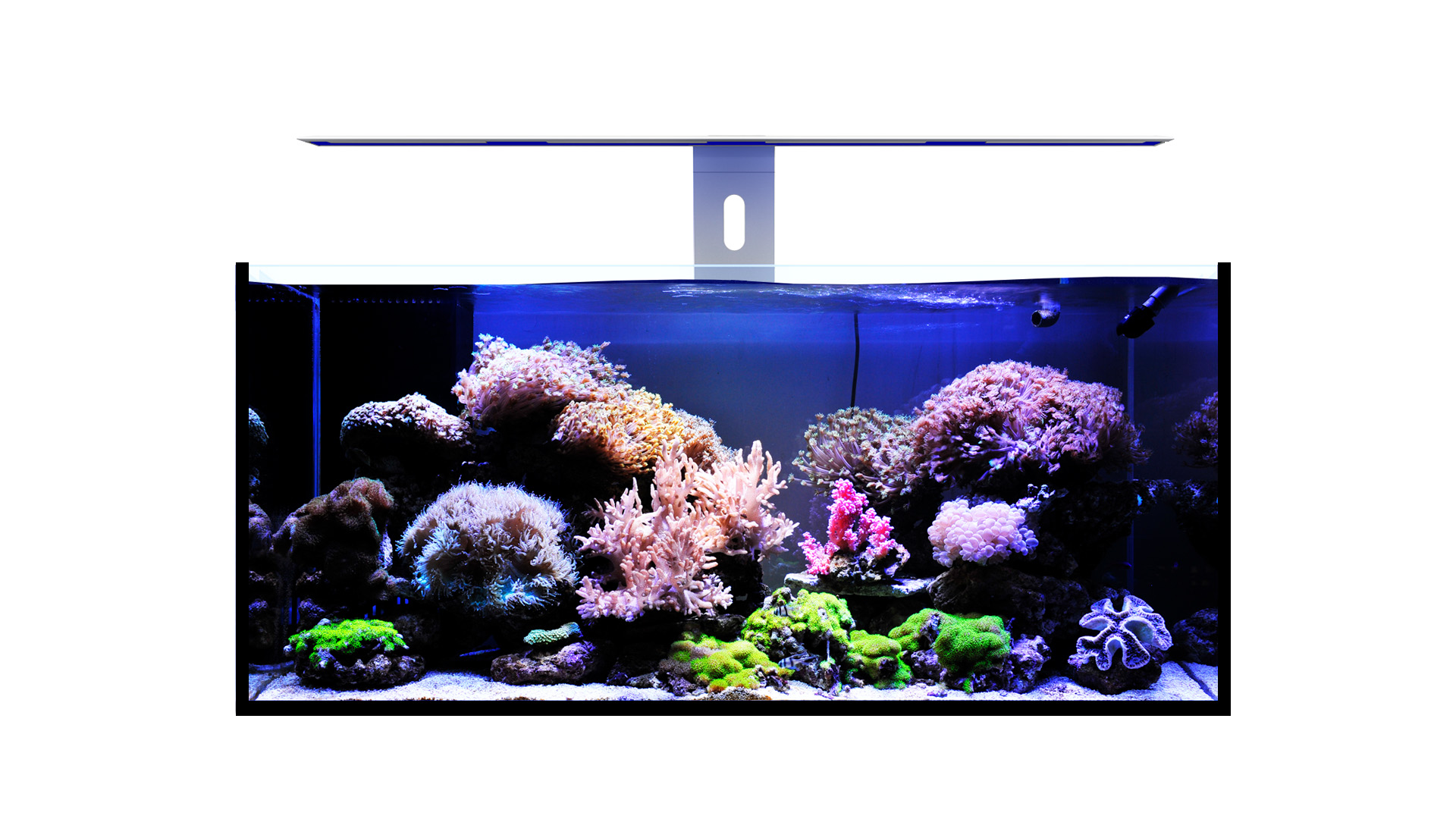 MicMol - G3 Aqua Air LED Reef Light - The newest Smart LED