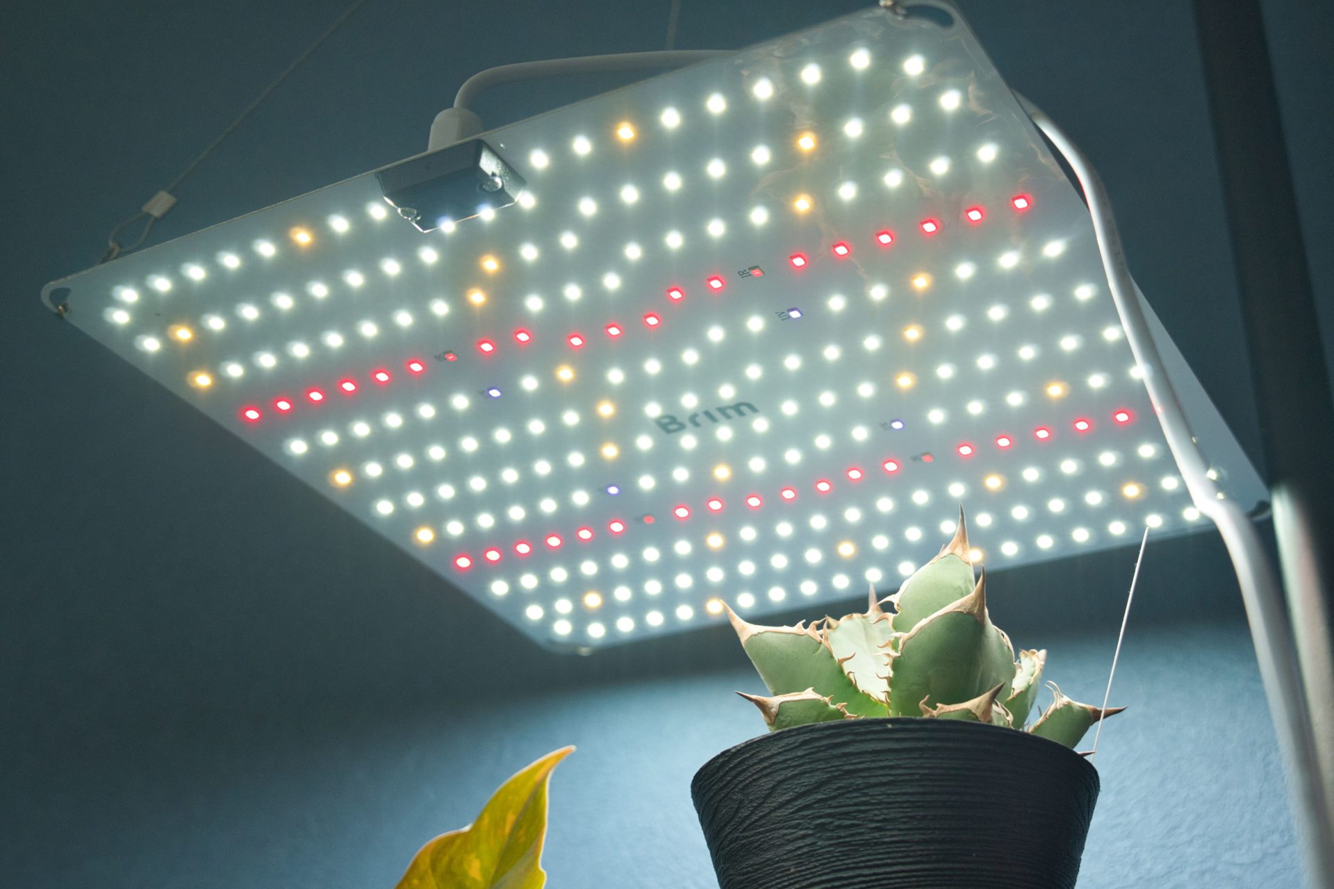 本音レビュー】BRIM PANEL A｜明るさに感動、取り付けは少し大変