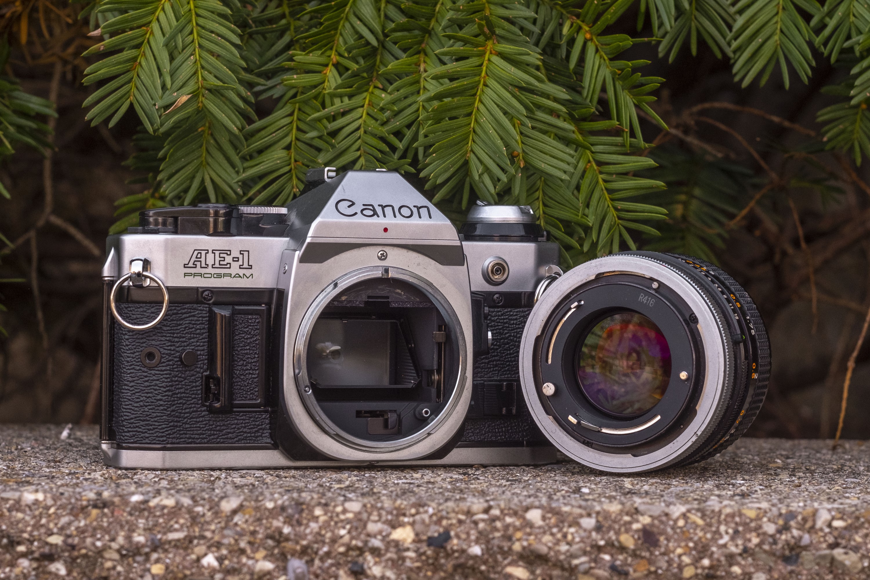 180□Canon AE-1 Program/TAMRON 1:3.5-4.5 35-70mmレンズ