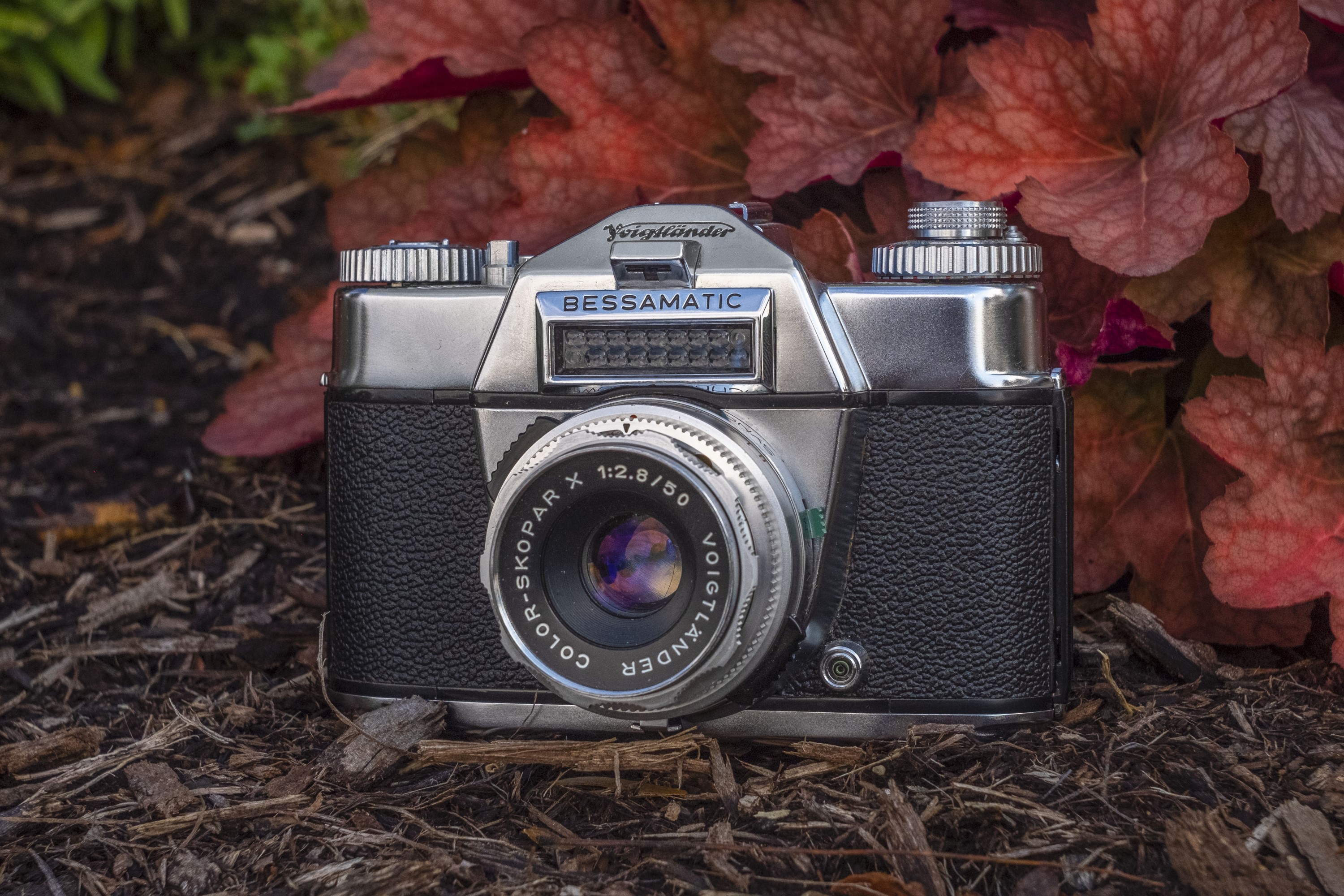 フィルムカメラ VOIGTLANDER BESSAMATIC / COLOR-SKOPAR 50 フィルム