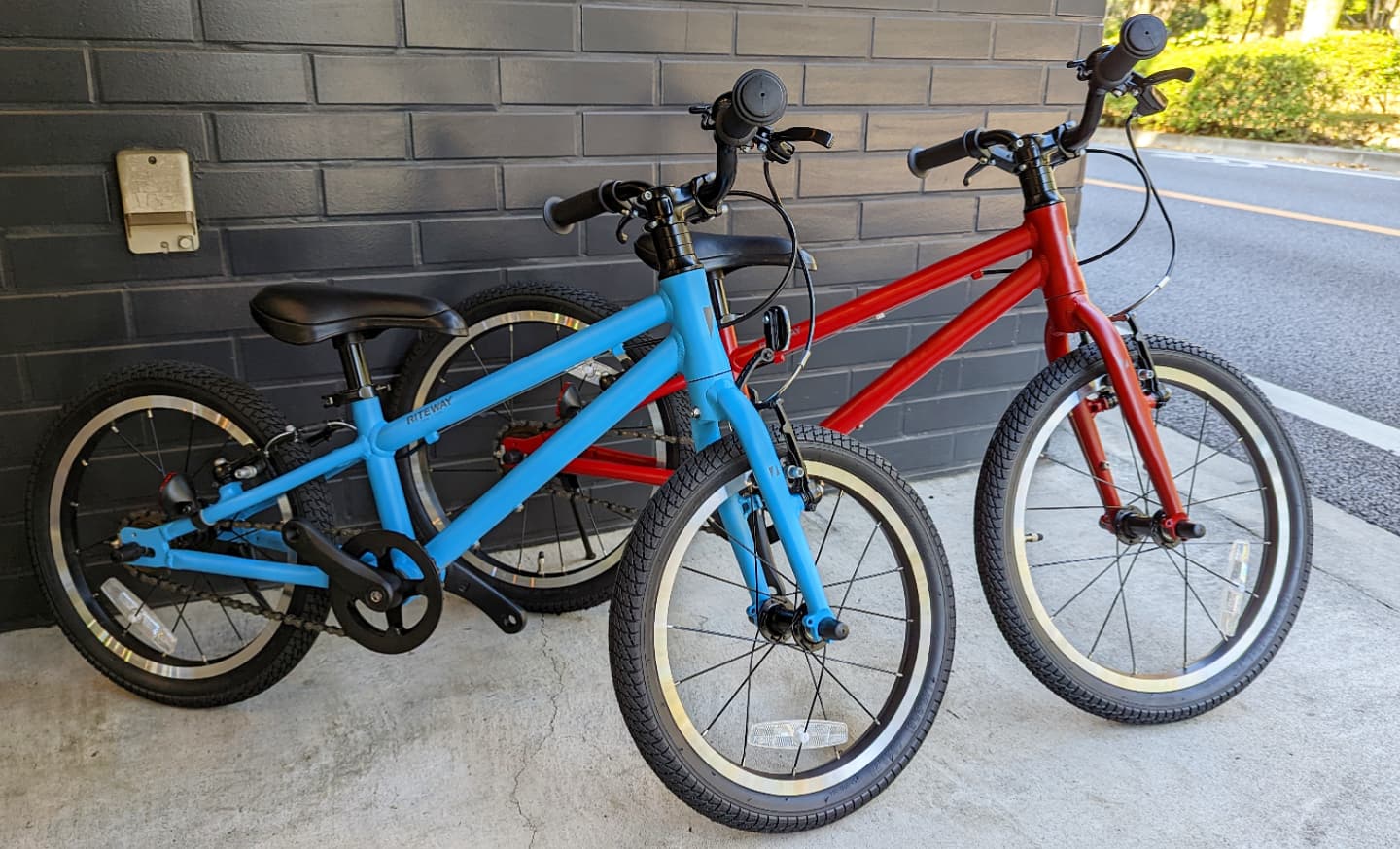 RITEWAY キッズ自転車 20インチ 青 大人気な子ども用自転車！】ライト