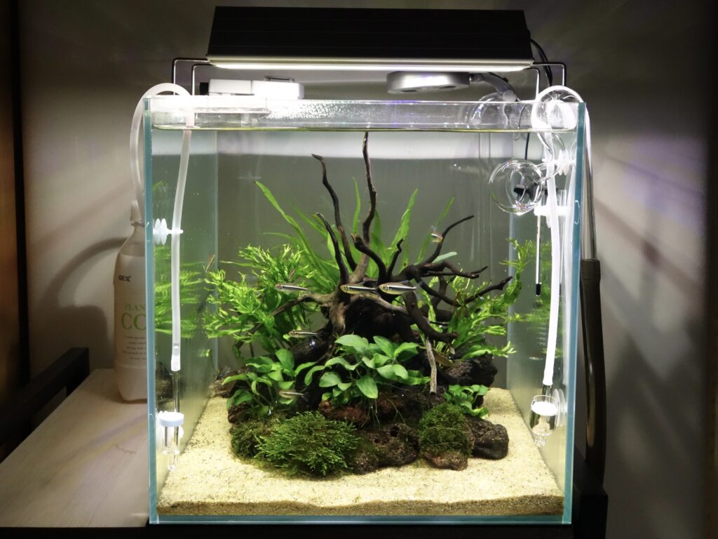 yamachan アクロ トライアングル グロウ 120cm アクロ TRIANGLE LED