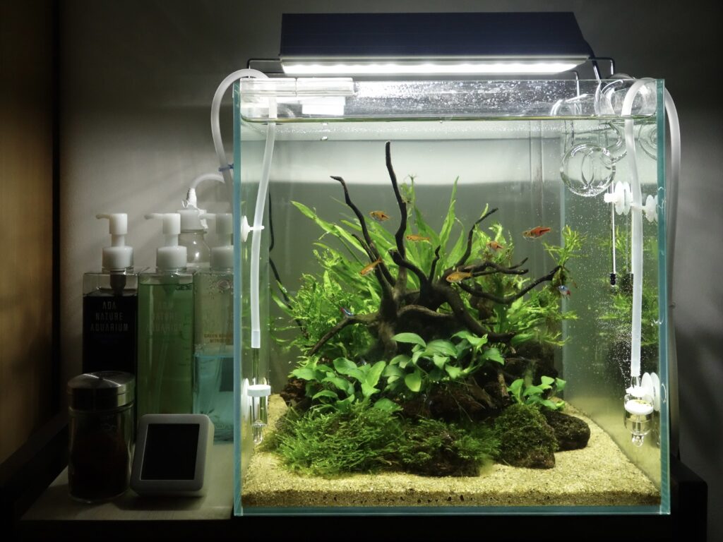 ADA LILY PIPE リリーパイプ・シリーズ P4 ADA LILY PIPE リリーパイプ