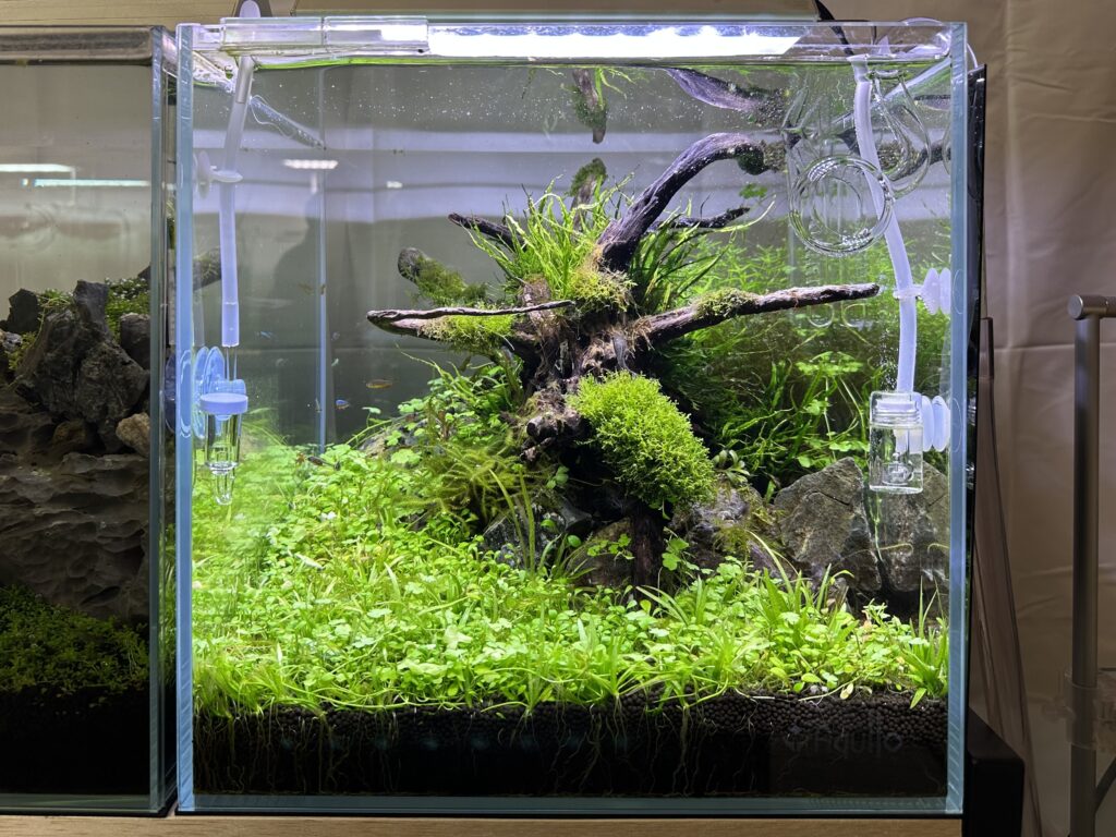 シュウサン専用アクロ TRIANGLE LED BRIGHT 900 楽天市場】アクロ