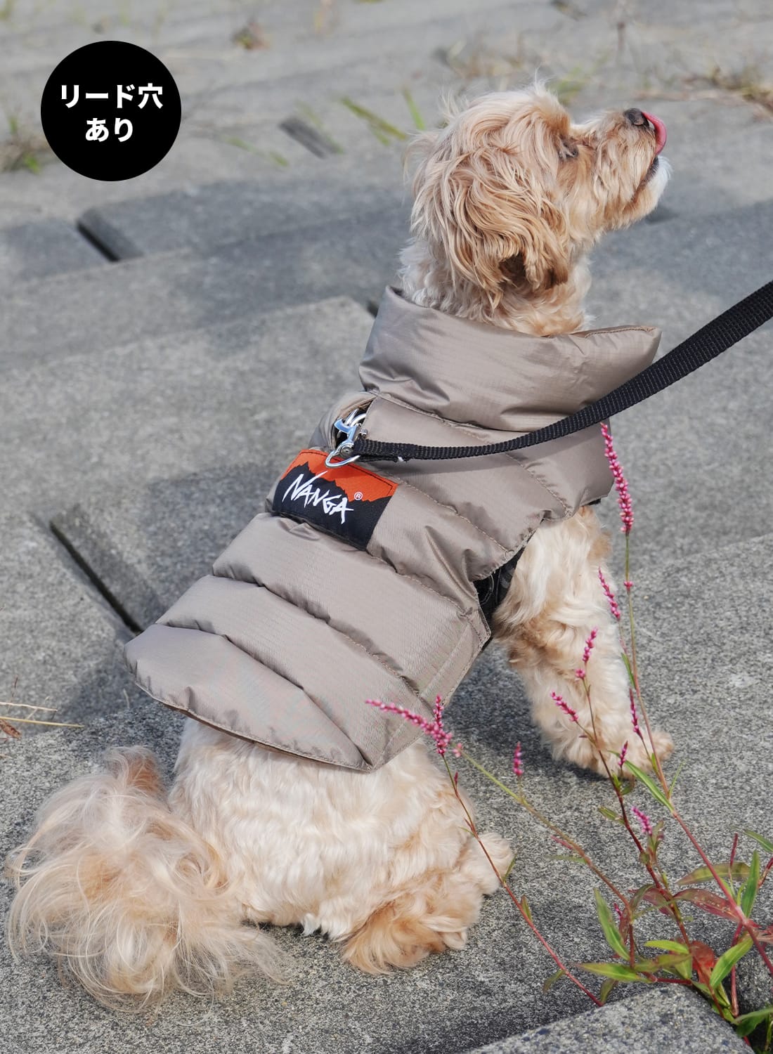 犬服・アクセサリー NANGA dog down jacket DOG DOWN JACKET