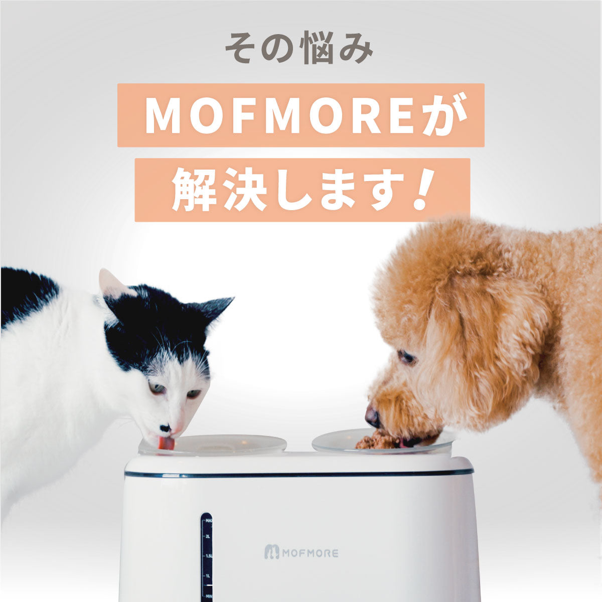 MOFMORE 2in1ウォーターディスペンサー - ゴハンもあげられる自動給水器 -