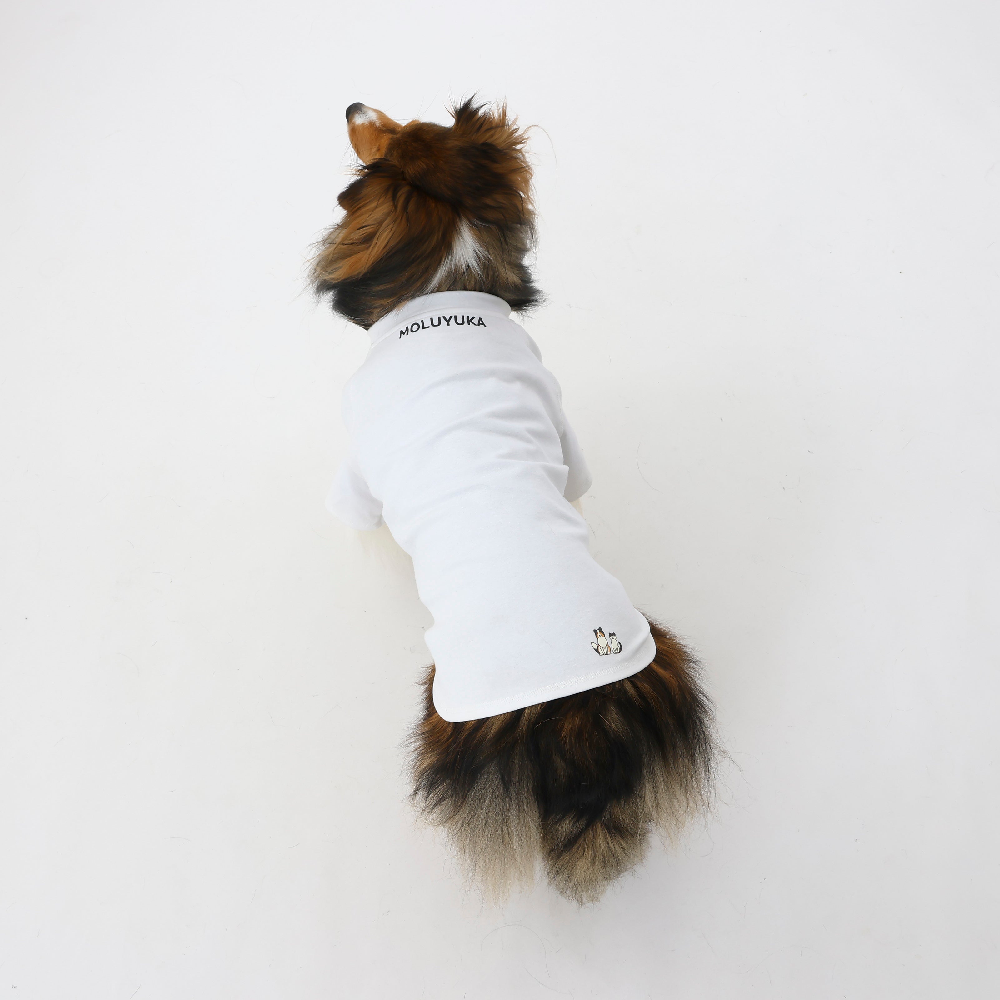 MOLUYUKのプレミアムスキンケア Tシャツ for pets – MOLUYUKA