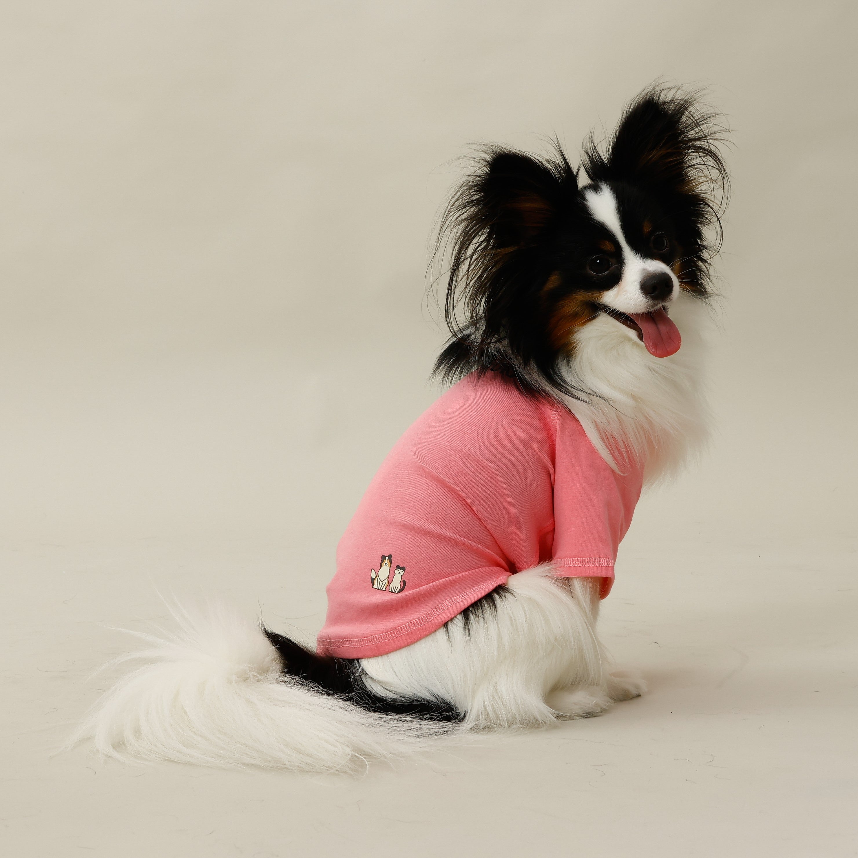 MOLUYUKのプレミアムスキンケア Tシャツ for pets – MOLUYUKA