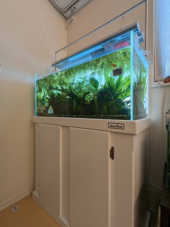 90cm水槽台】市販最高級？マーフィード・ウッドキャビの使用レポ