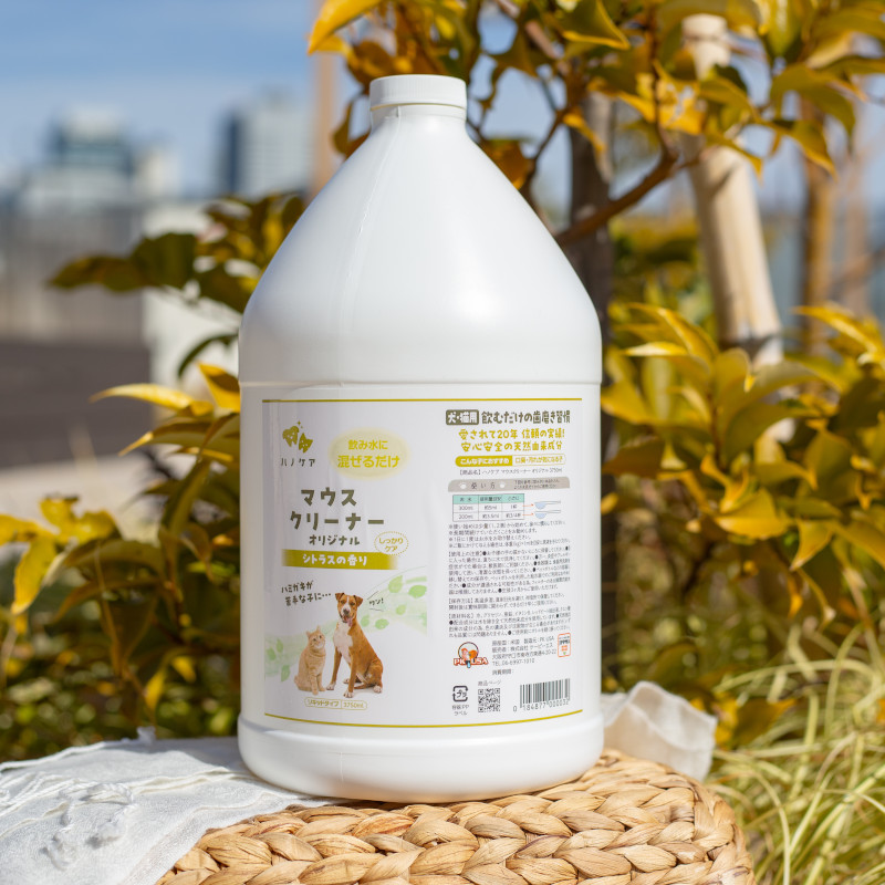 ハノケア マウスクリーナー オリジナル シトラスの香り 237ml×6本セット