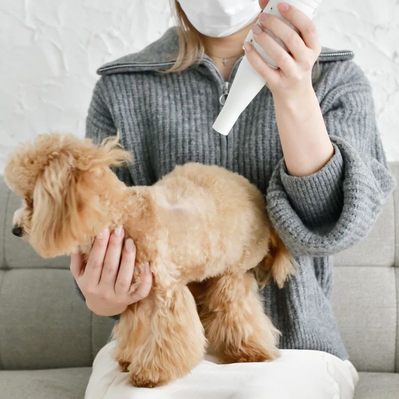 復元ドライヤー PET