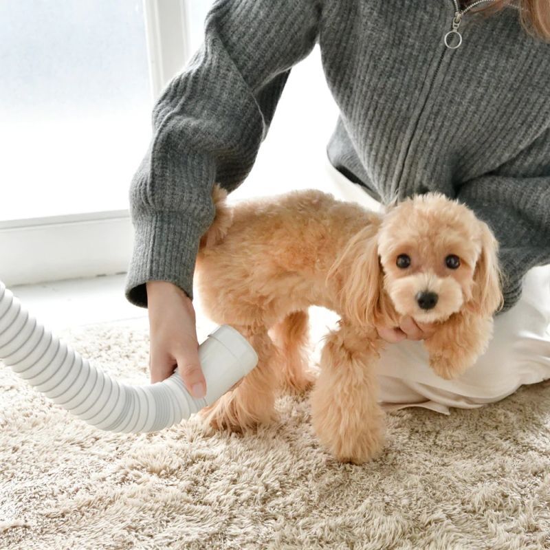 復元ドライヤー PET 新品未使用 未開封 ドライヤー トリマー 【公式通販】