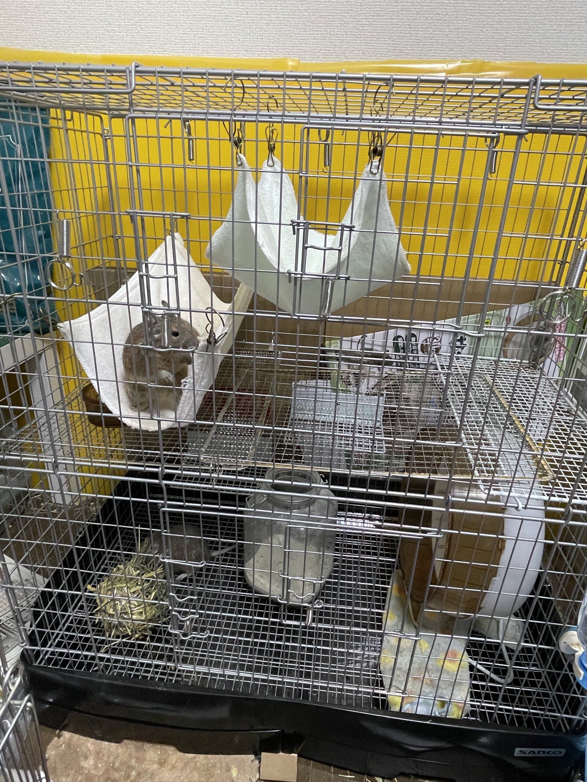 イージーホームハイ80中古品 sanko イージーホーム80ハイ 中古 三晃