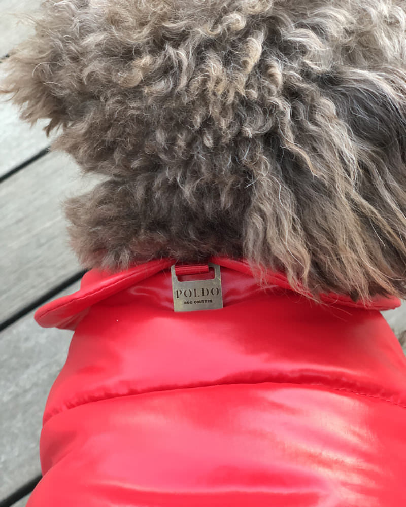 モンクレール MONDOG 犬用ダウン2WAY 在庫商品 - モンクレール(MONCLER