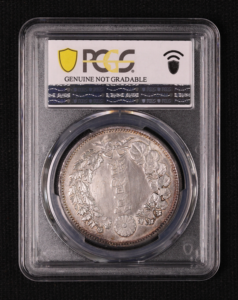 CAG CLEANED XF DETAIL 明治十八年 特年 大型 新一円銀貨 CAG CLEANED