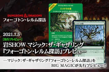 日本語版 フォーゴトン・レルム探訪 コレクター・ブースターBOX（12個