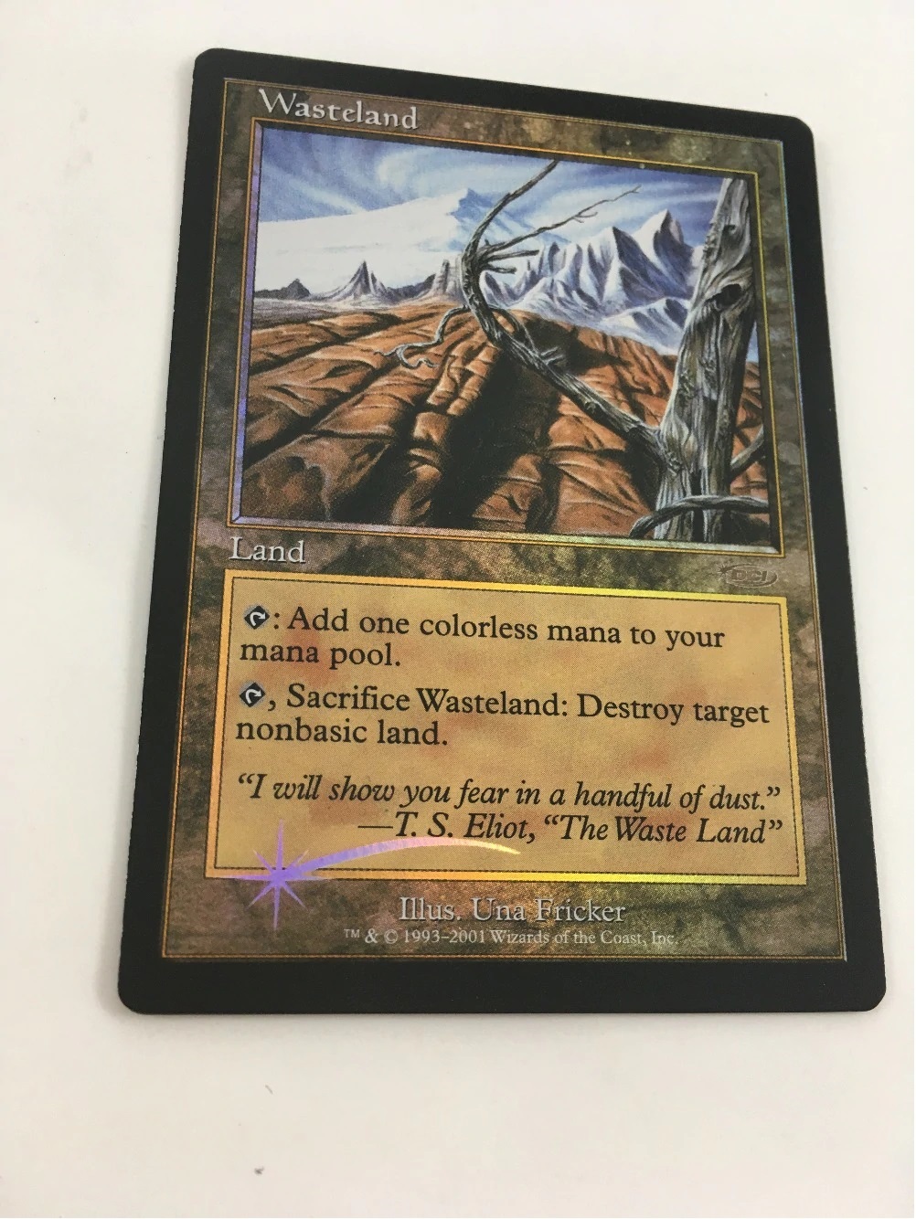 不毛の大地 Wasteland EXP MTG foil 不毛の大地 Wasteland EXP MTG