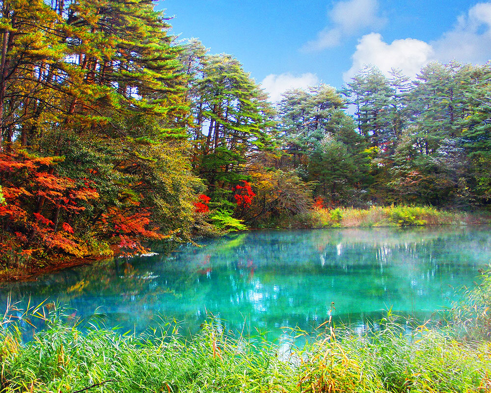 日本画家 松本 栄 福島県出身 五色沼の秋