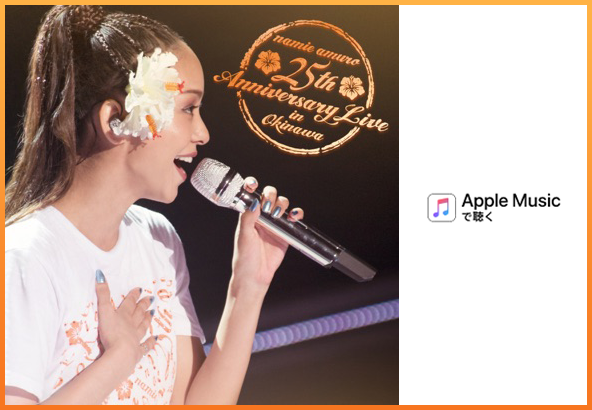 ☆ 安室奈美恵 25周年 沖縄ライブ パンフレット ☆ 安室奈美恵 25周年