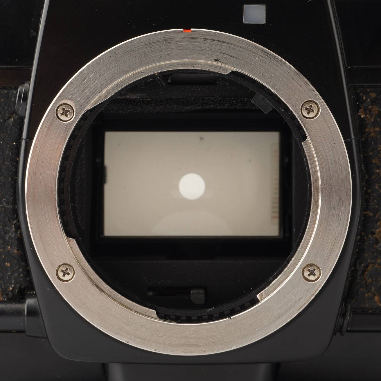 コンタックス Contax 137 MD QUARTZ 35mm一眼レフフィルムカメラ