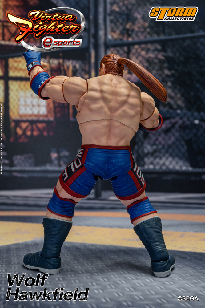Virtua Fighter esports – WOLF HAWKFIELD ACTION FIGURE | 株式会社ノーツ