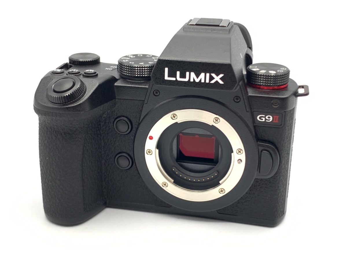 Panasonic パナソニック DC-G99 美品 概要 デジタル一眼カメラ/レンズ