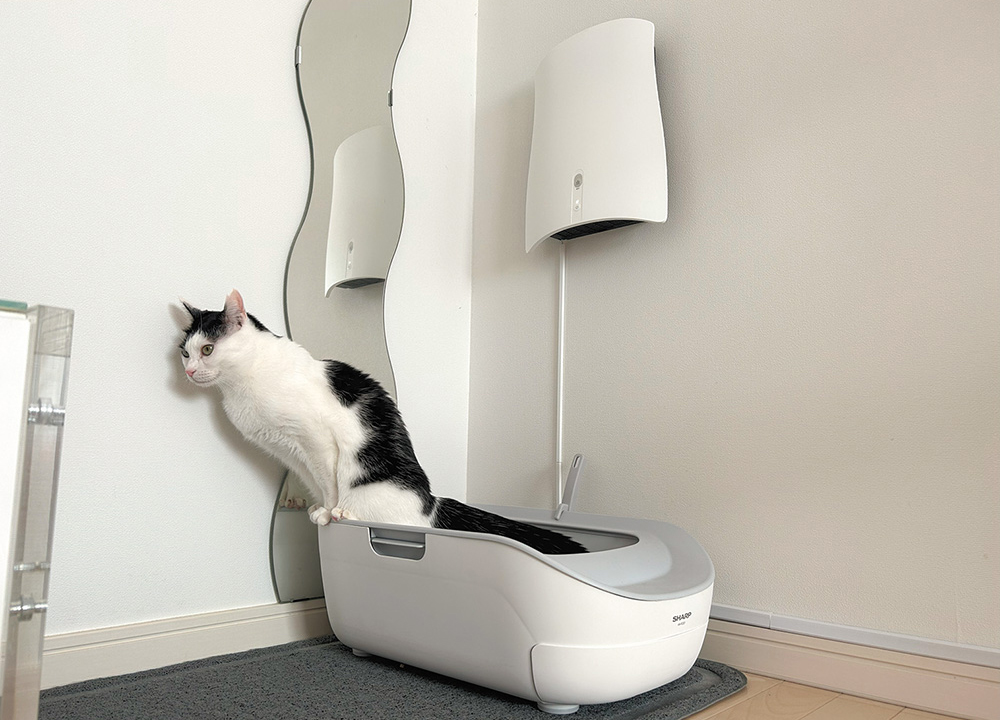 空気清浄機付き猫用トイレ 空気清浄機付き猫用トイレ 楽天市場】【